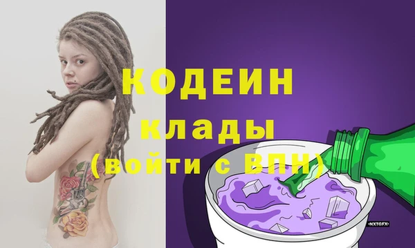 молекула духа Медвежьегорск