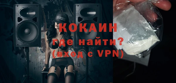 молекула духа Медвежьегорск