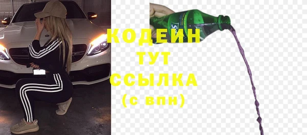 молекула духа Медвежьегорск