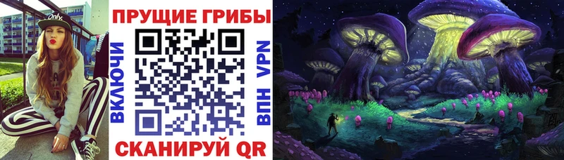 Псилоцибиновые грибы GOLDEN TEACHER  Монино 